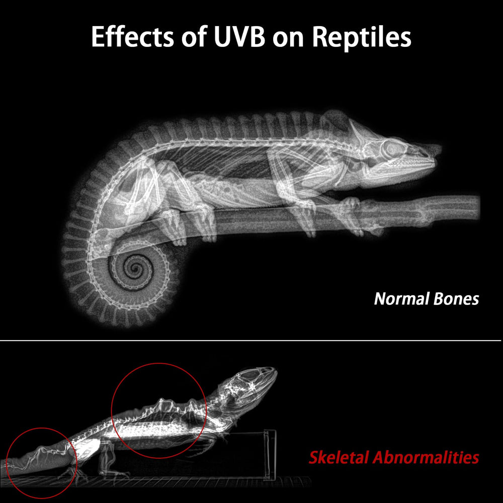 REPTITRIP modos M1–M4, control preciso de iluminación para reptiles