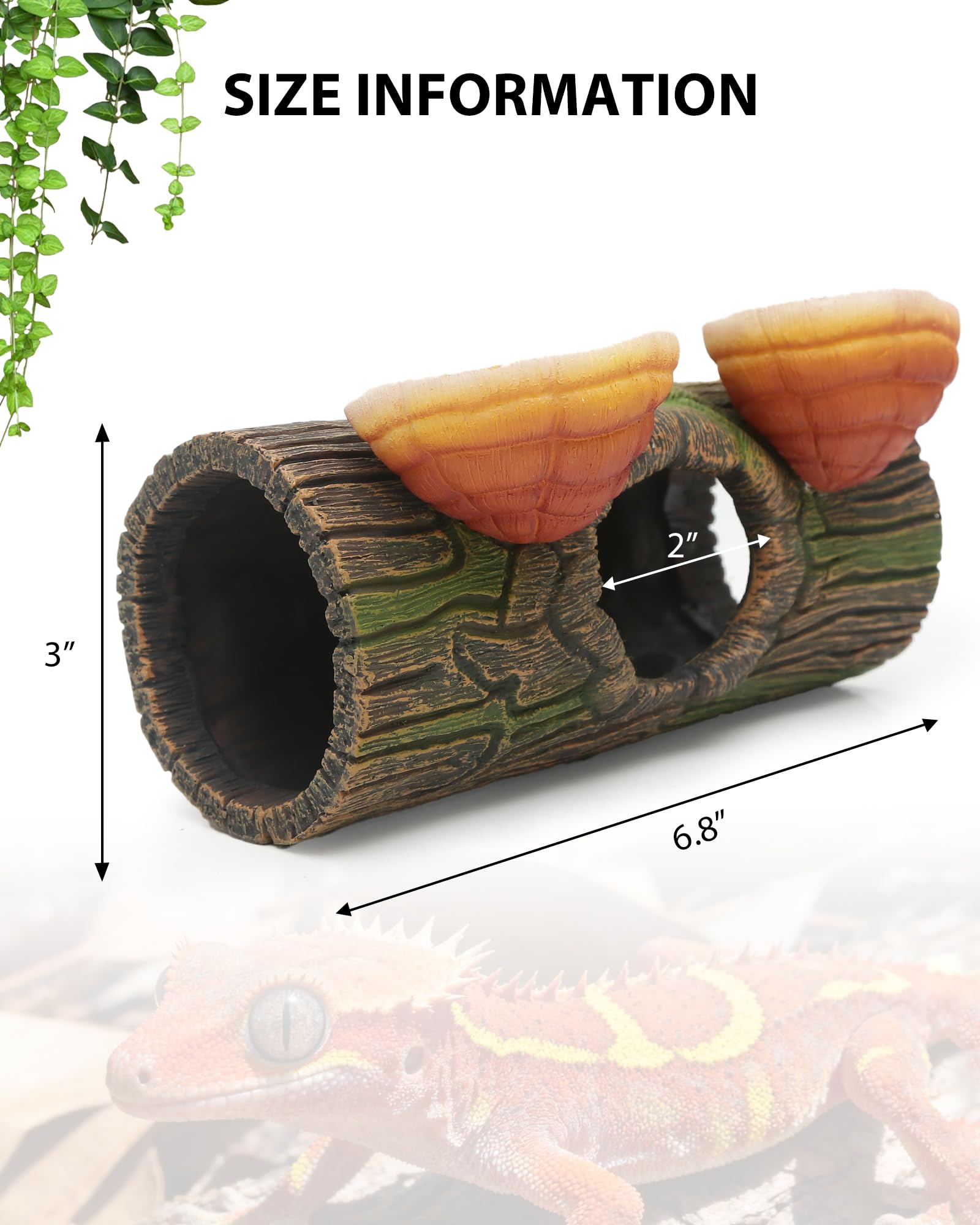 REPTITRIP uso versátil, adecuado para geckos arborícolas y anfibios.