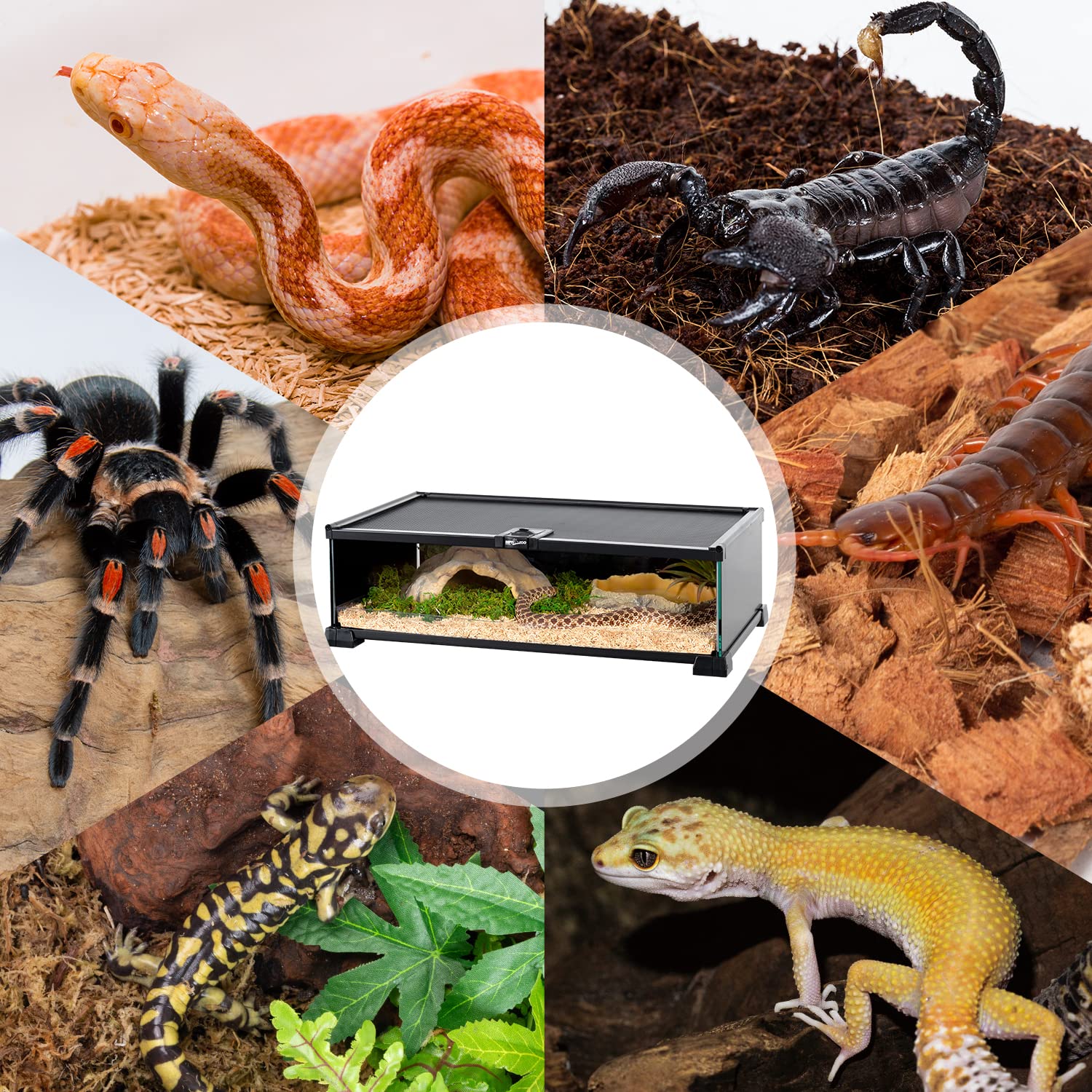 REPTIZOO tanque reptil vidrio ensamblaje rápido en minutos.