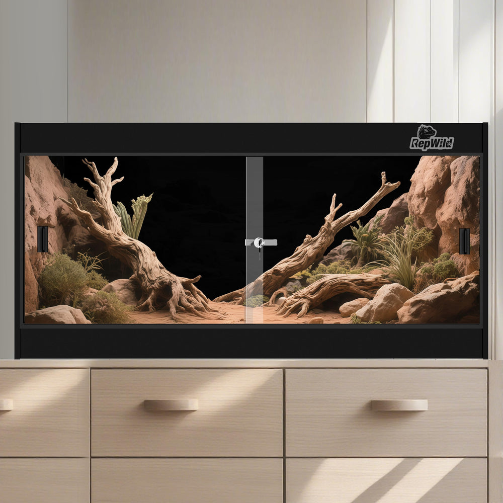 REPWILD efficient footprint balances floor space with climbing opportunities