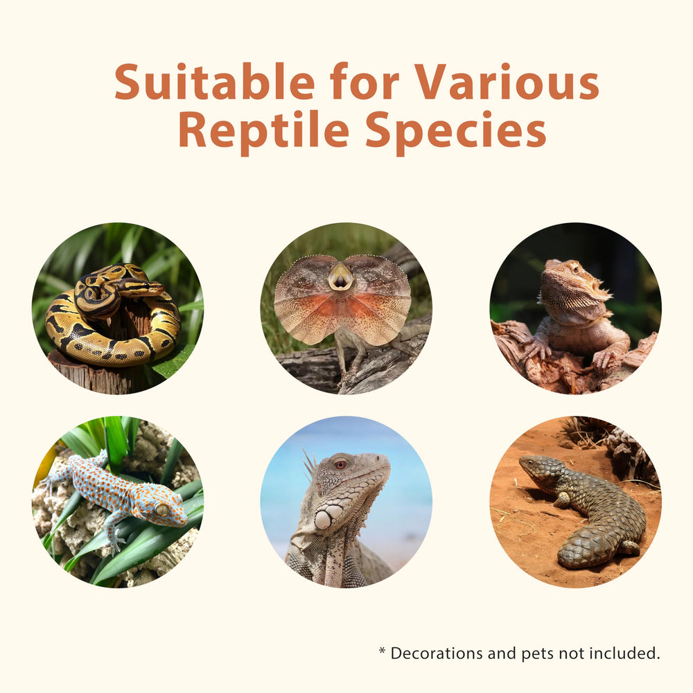 REPWILD size options show adaptable space for different reptiles