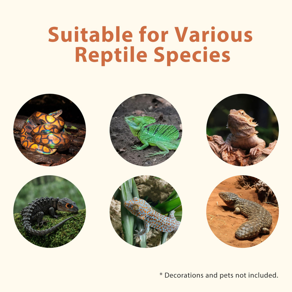 REPWILD tallas variables 24x18x12, apto para varios reptiles.
