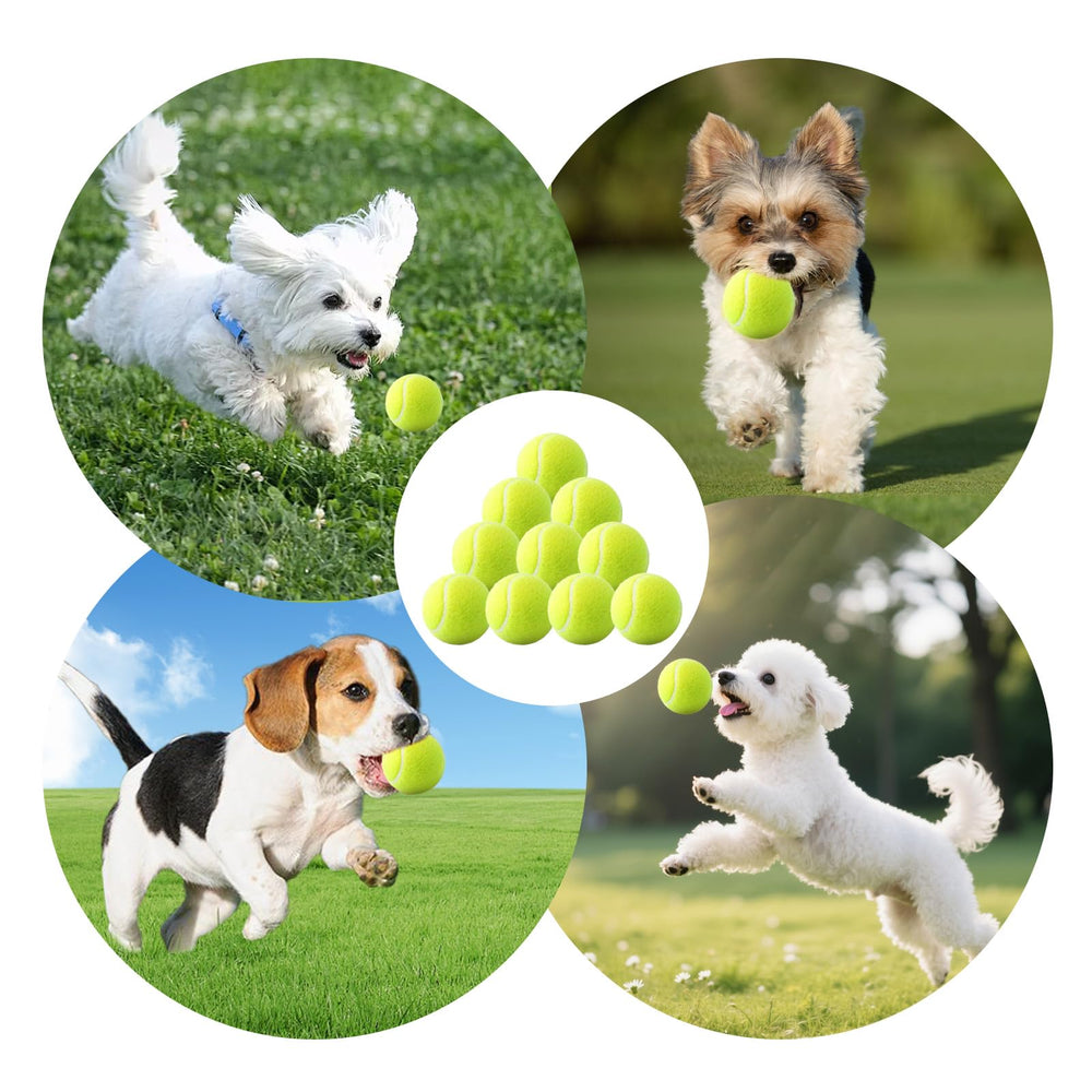 Bola de tenis segura para dientes en perros pequeños durante juego.