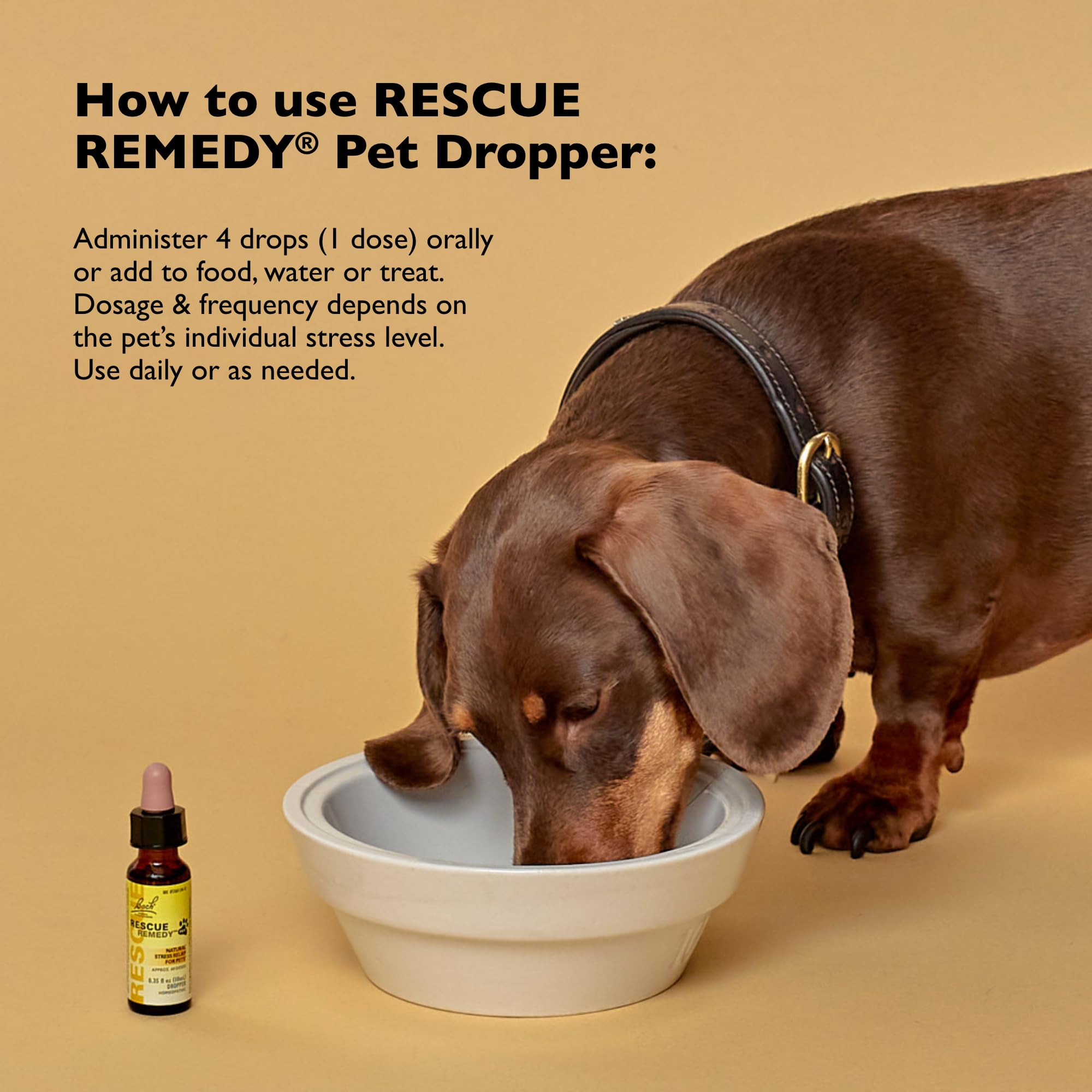 Aplicación fácil de Rescue Remedy y dosis precisa para mascotas.