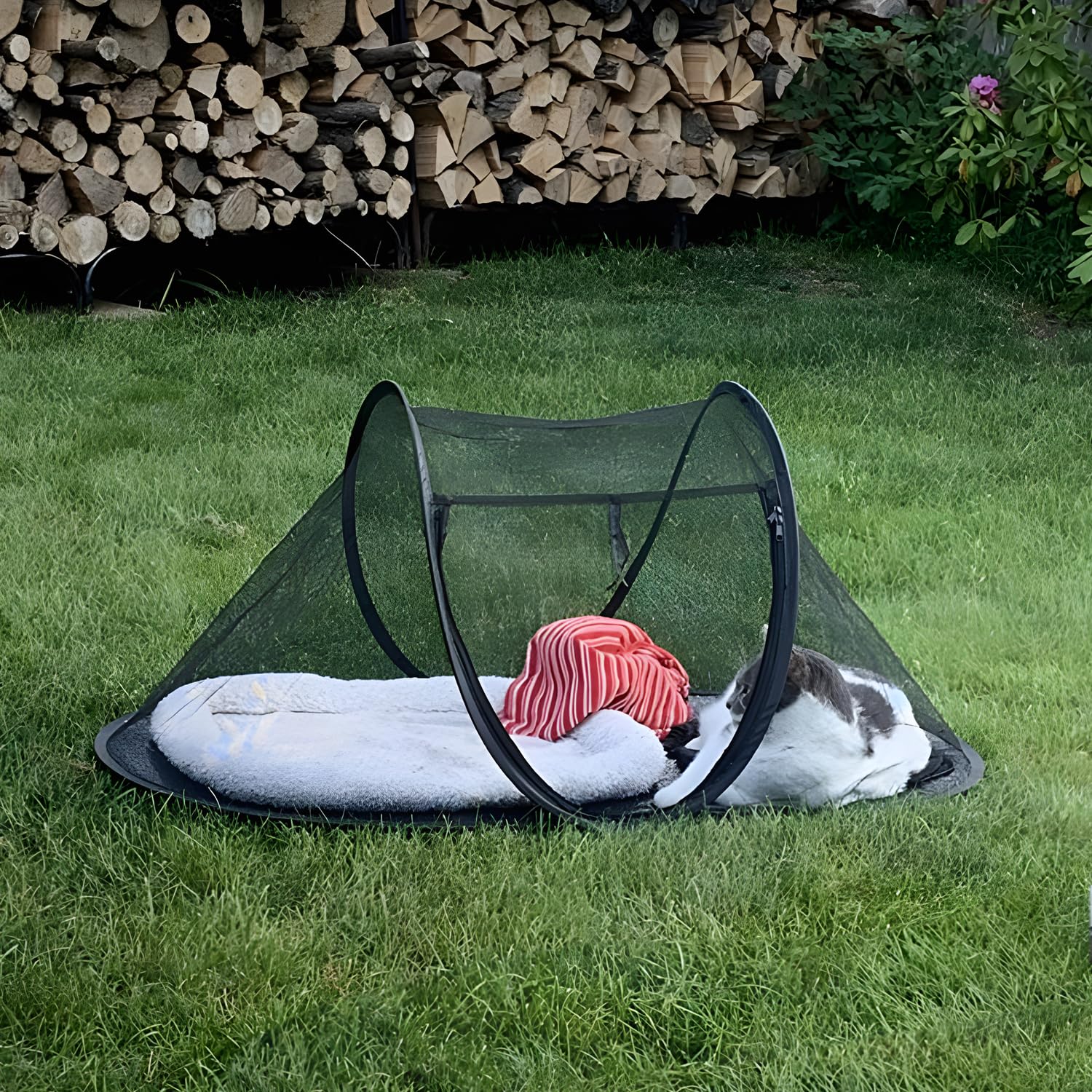 Rest-Eazzzy Tienda para Gato: bolsa de transporte incluida para guardar y trasladar.