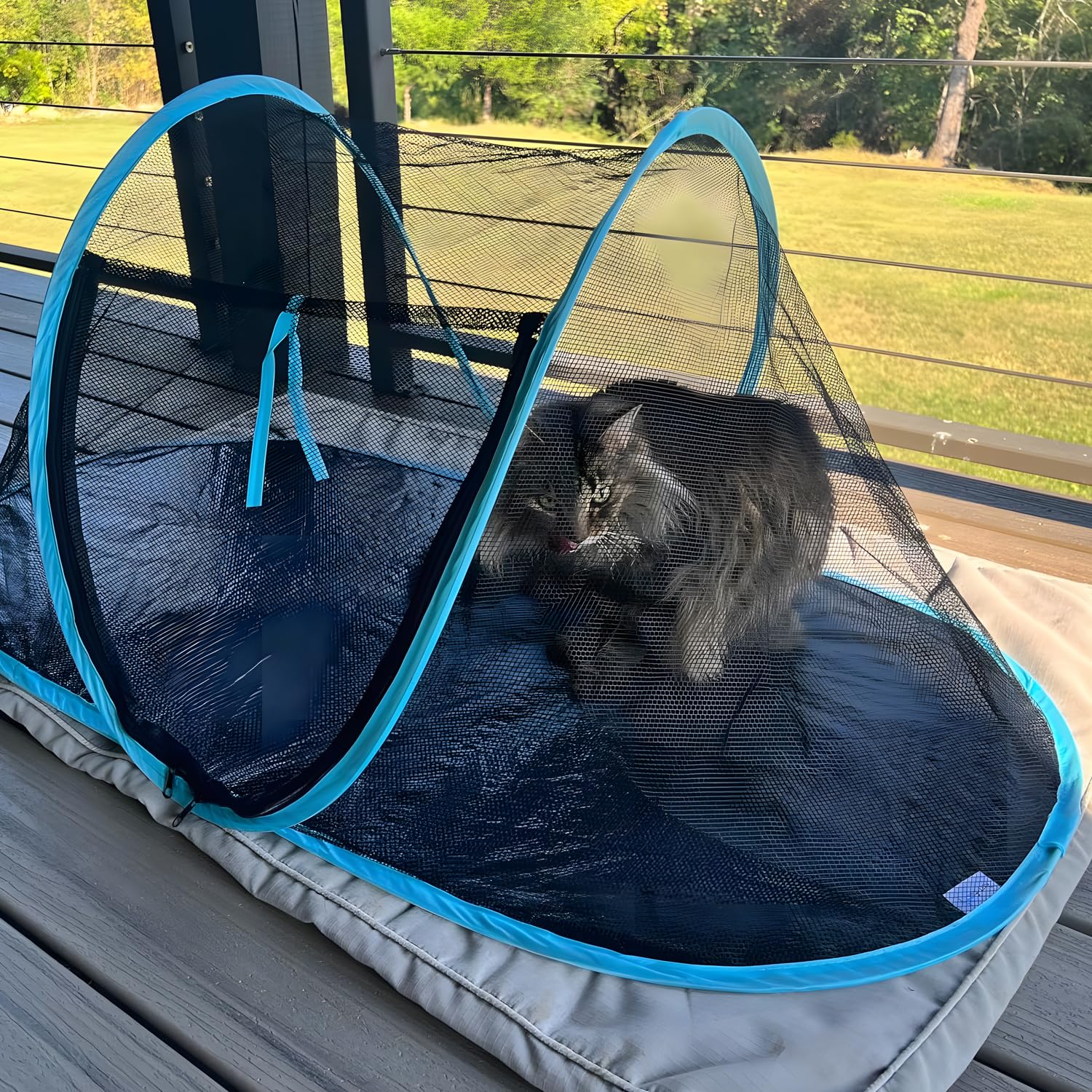 Rest-Eazzzy Tienda para Gato: montaje rápido para primeros minutes al aire libre.