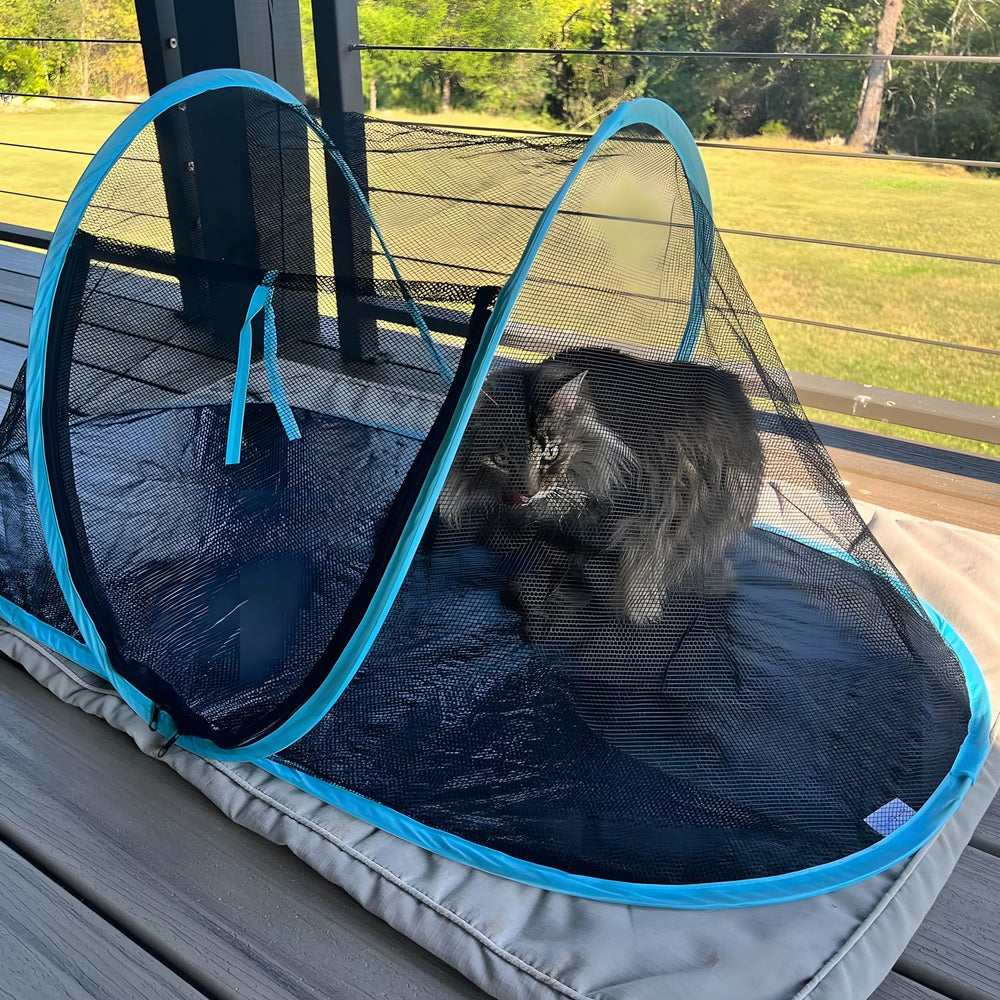 Rest-Eazzzy Tienda para Gato: montaje rápido para primeros minutes al aire libre.