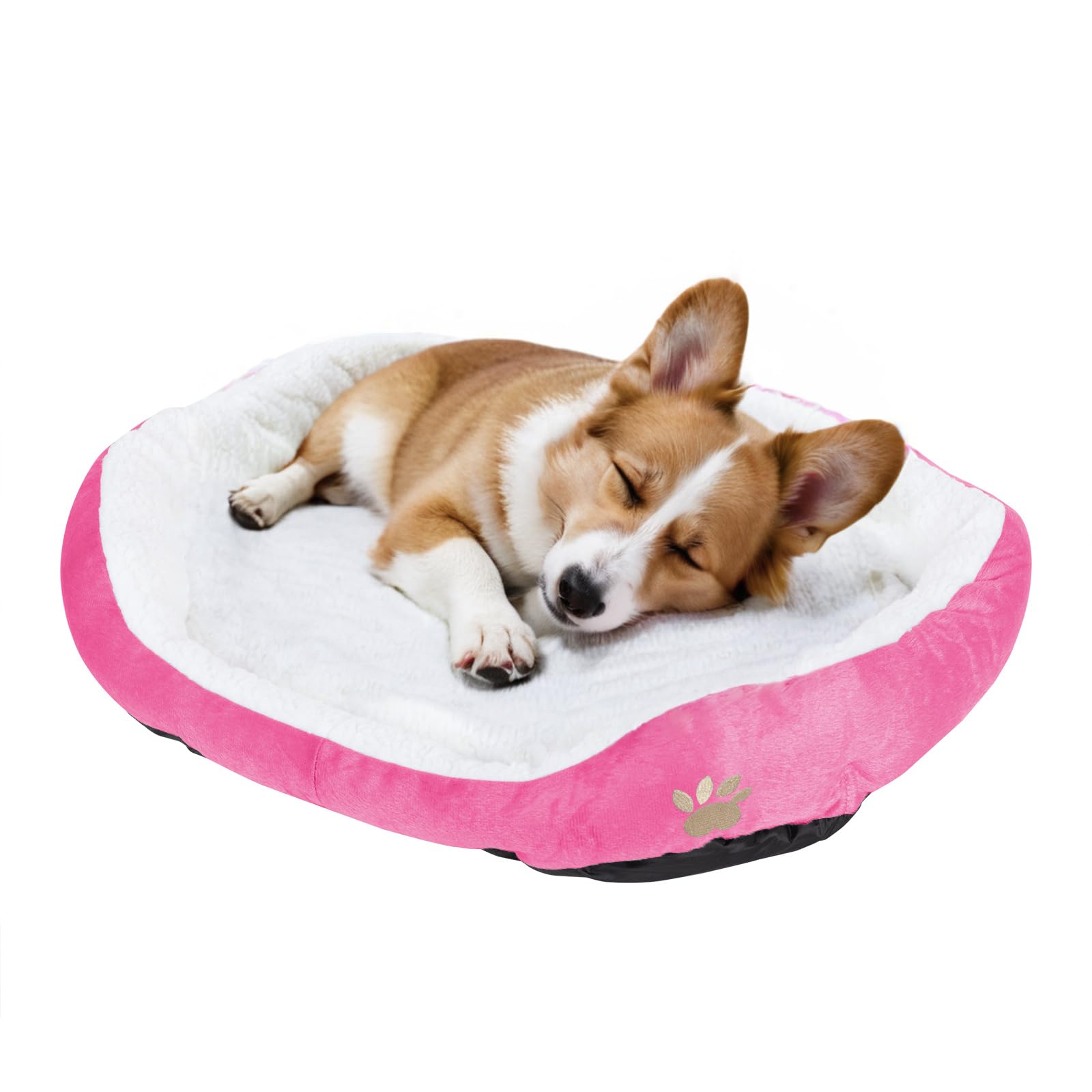 Resulzon tamaño medio rosa, apta para perros pequeños y gatos.