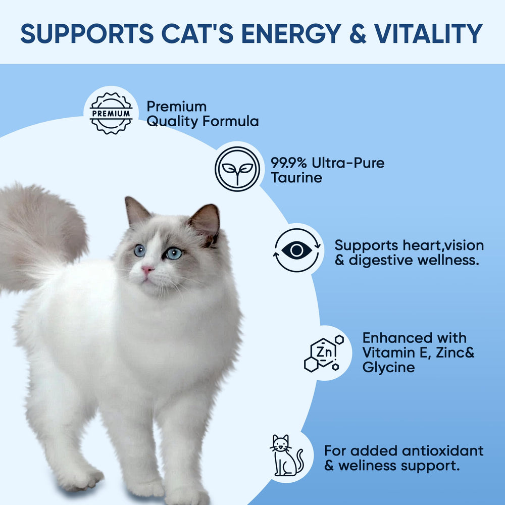 RETPMOSO KittySupps Taurina fácil de medir y mezclar con comida.