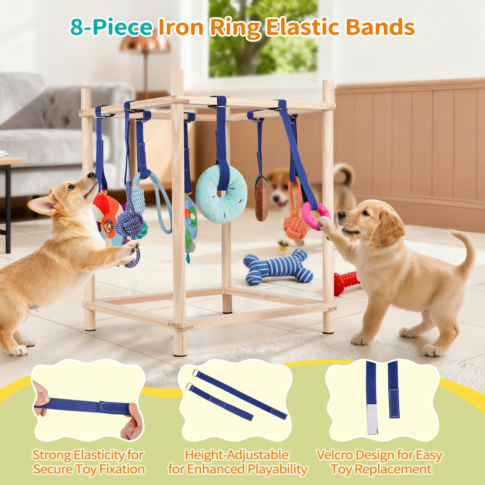 Retyion bandas elásticas: ajuste de altura de juguetes para cachorros