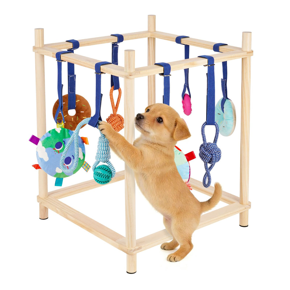 Gimnasio Retyion para perrito en madera, juego seguro en interiores