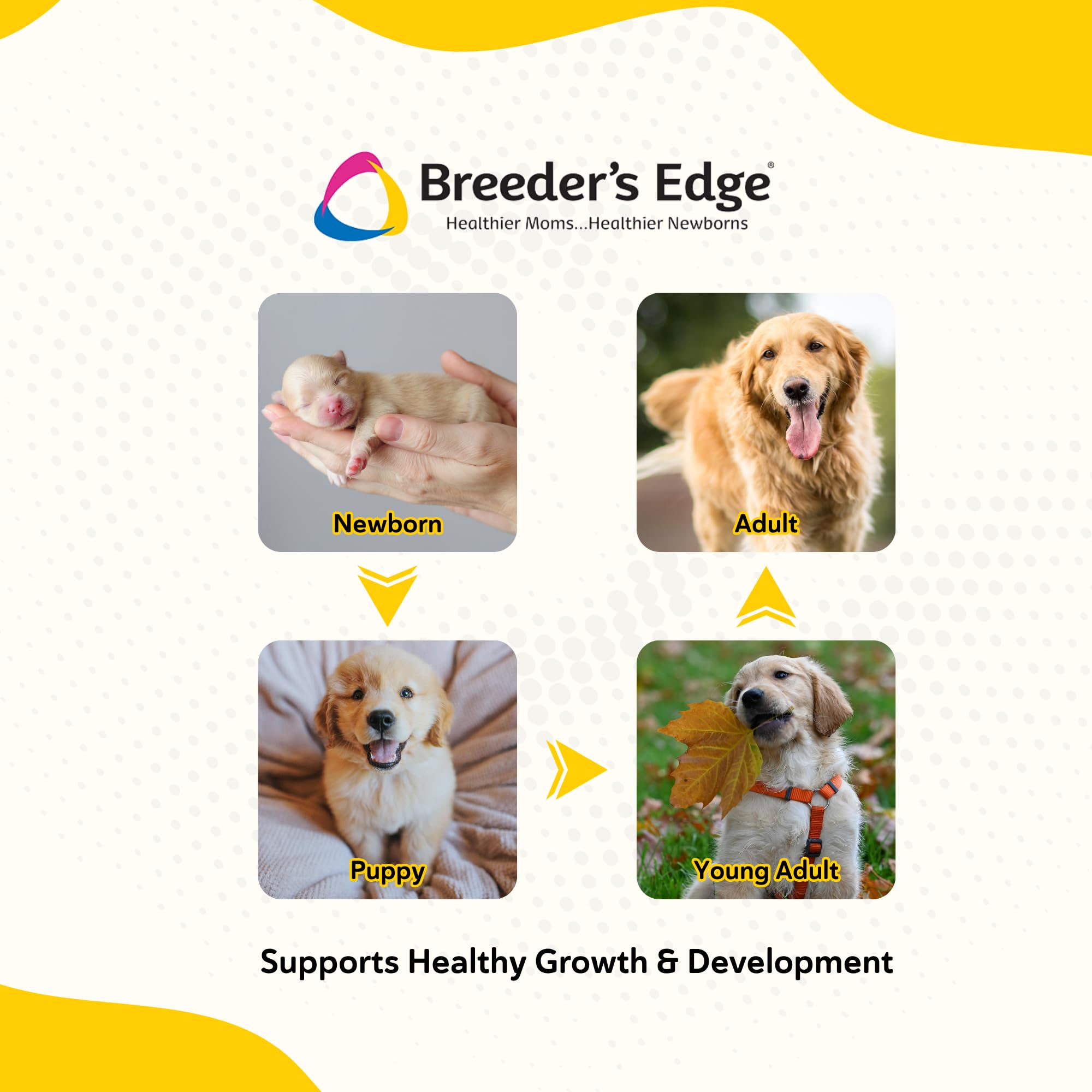 Revival Animal Health Breeder Edge Foster Care GM: IgY y Bio-Mos para defensas y salud intestinal.