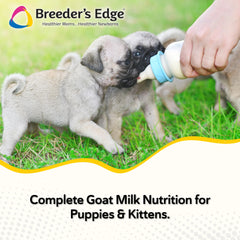 Revival Animal Health Breeder Edge Foster Care GM: leche-cabra-gatitos, soporte nutricional para gatitos.