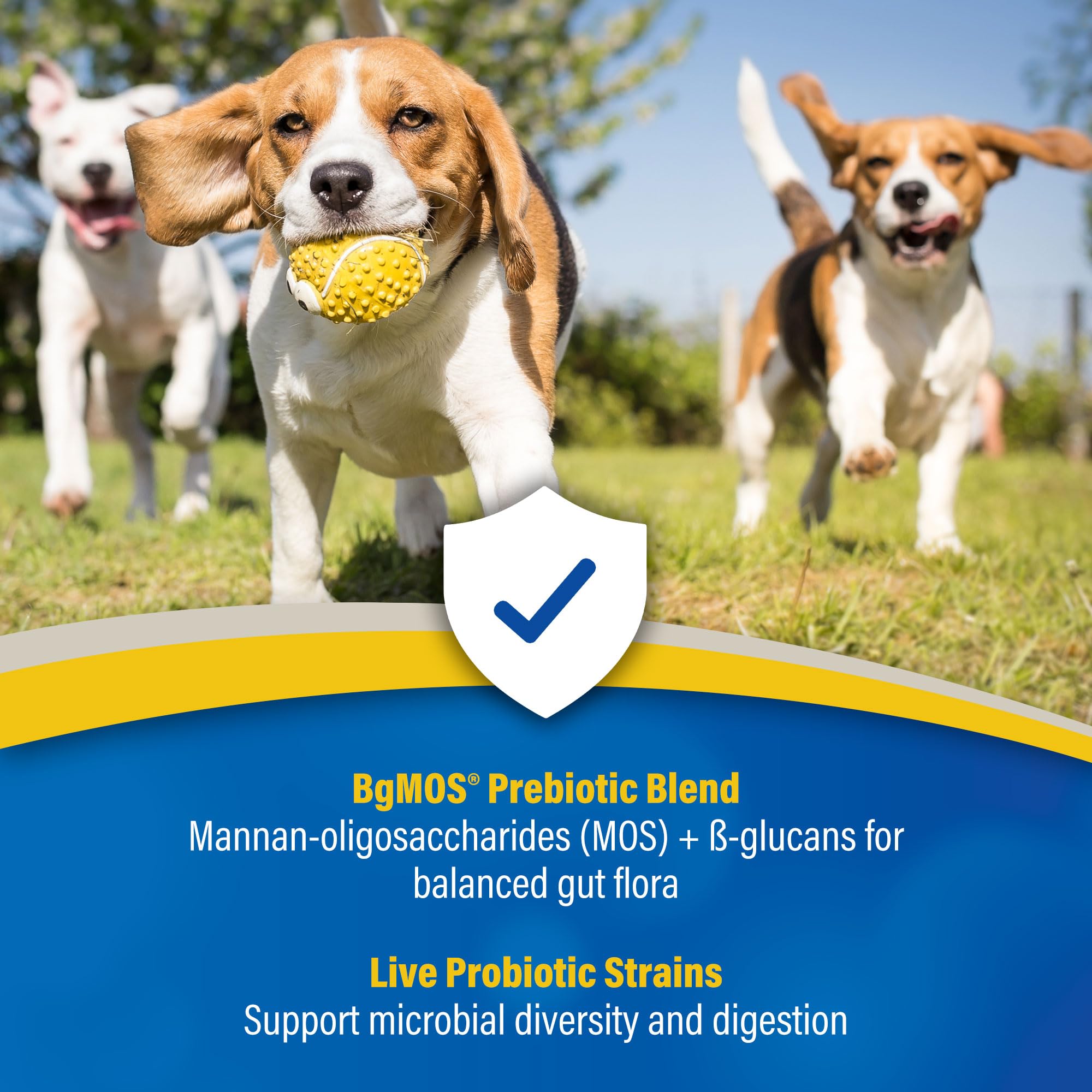 Uso diario recomendado para apoyar la salud digestiva de mascotas.