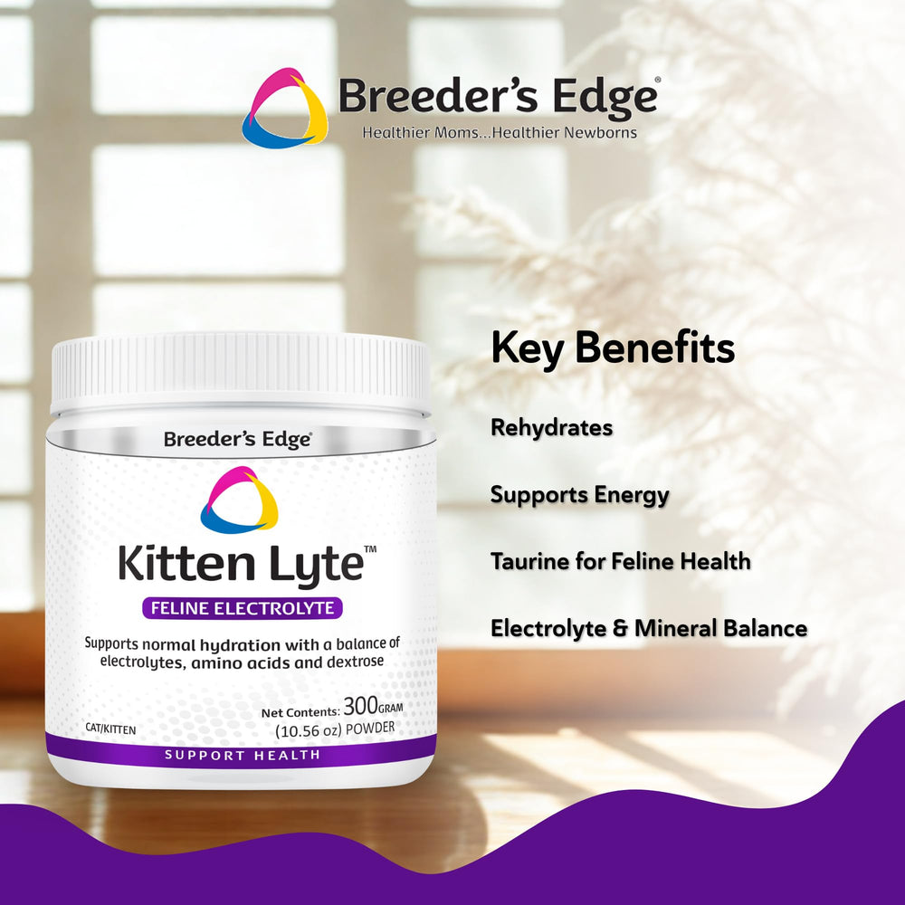 Kitten Lyte Revival con dispensador medidor para porciones precisas.