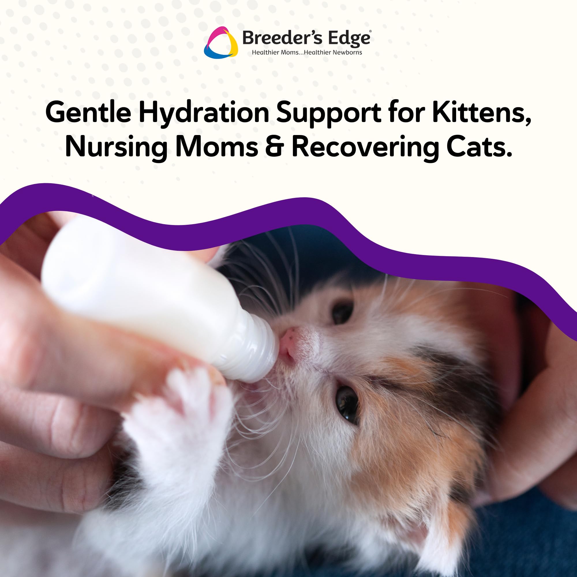 Kitten Lyte Revival apto para gatitos, ayuda a mantener la hidratación.