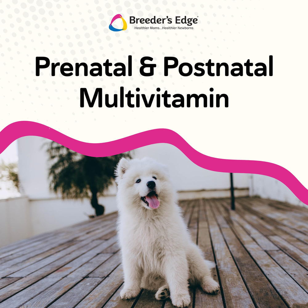Revival Breeder-edge durante lactancia, favorece producción de leche.