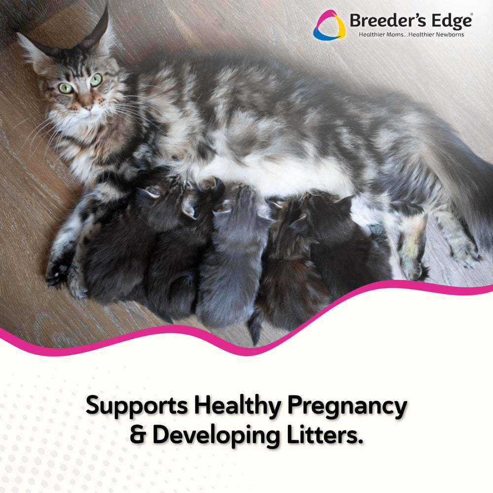 Revival Breeder's Edge Oxy Mate, etiqueta, fórmula fortificada para madres gestantes.