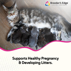 Revival Breeder's Edge Oxy Mate, etiqueta, fórmula fortificada para madres gestantes.