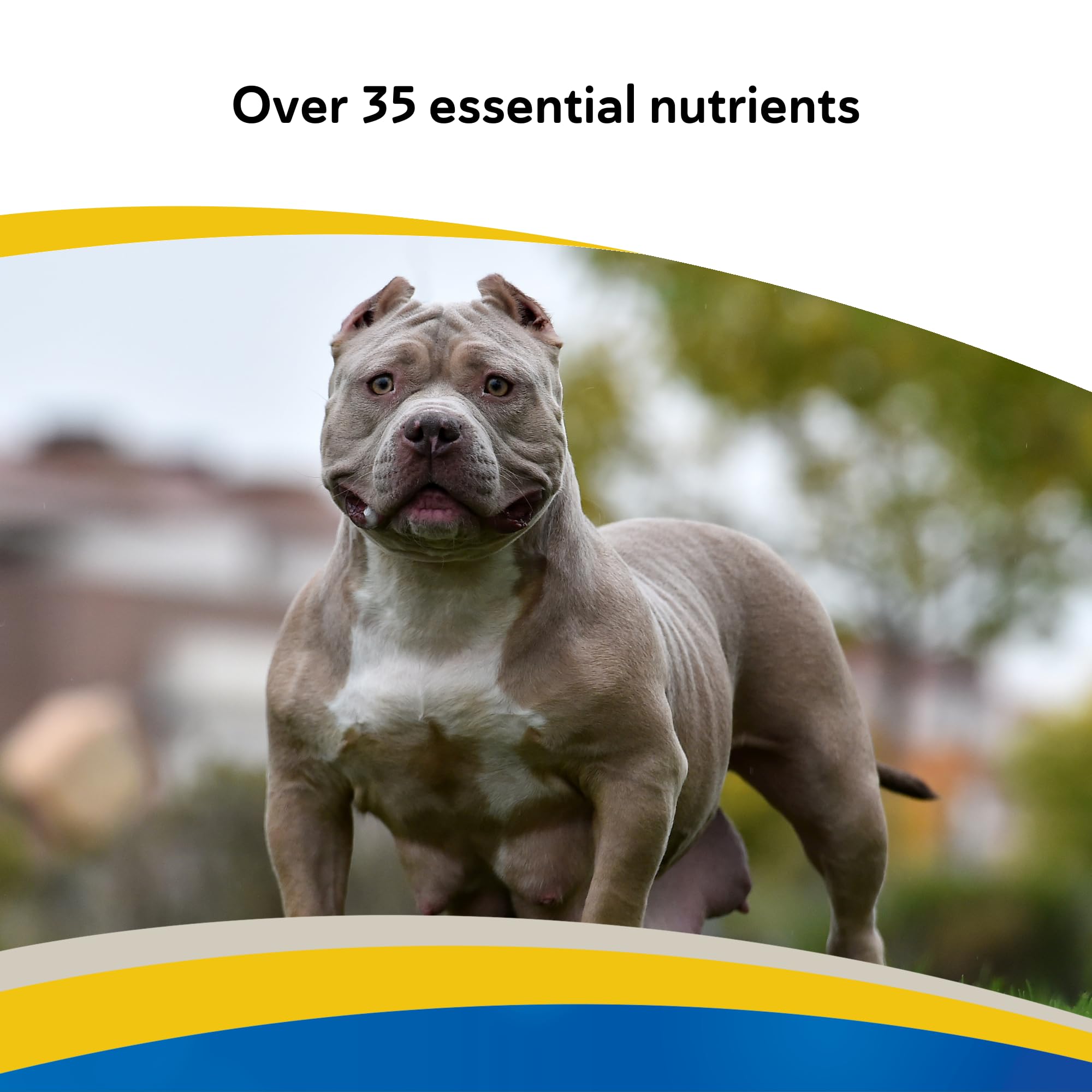 Doc Roy's Daily Care Extra Canine tabletas sabor hígado con palatabilidad mejorada