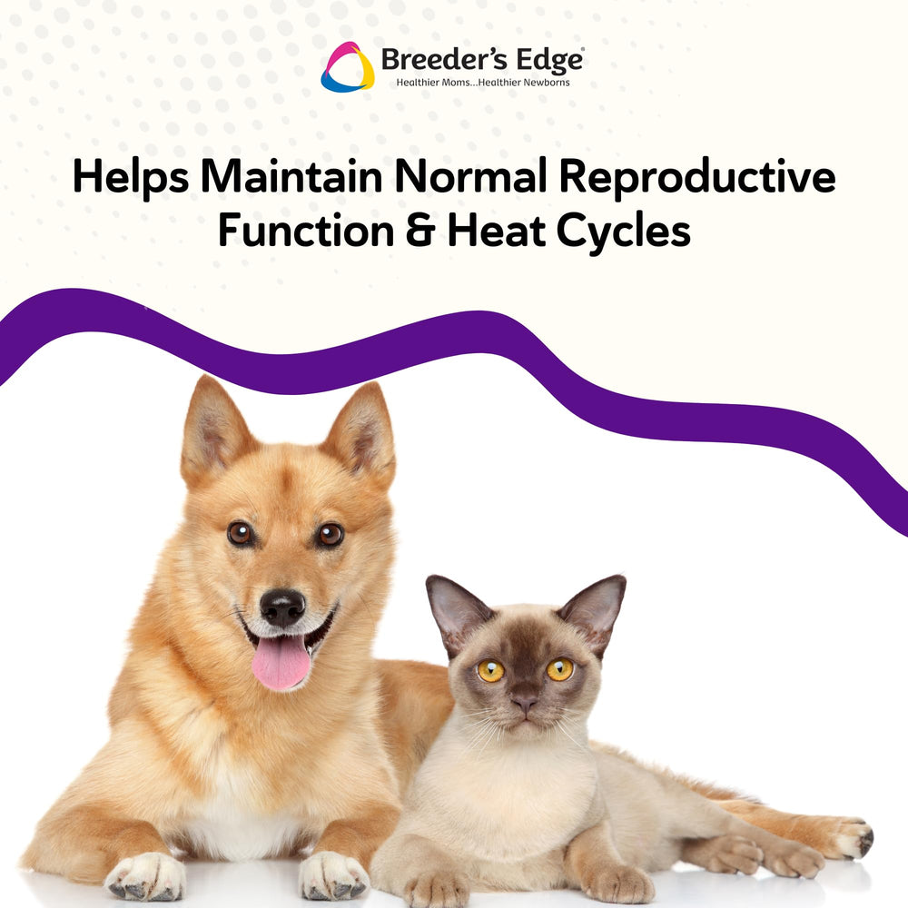 Revival Breeder’s Edge B Strong, envase de 300 g para dosificación conveniente.
