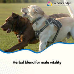 Revival Breeder’s Edge Get Him Going: etiqueta cercana, posible apoyo a la libido y la energía.
