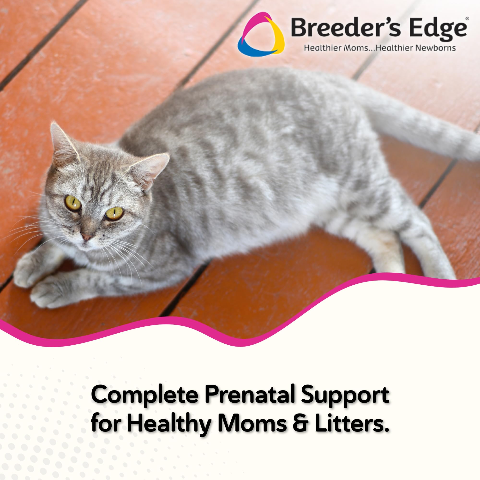 Breeder's Edge Oxy Mate: tabletas suaves listas para administrar durante el cuidado prenatal