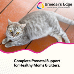 Breeder's Edge Oxy Mate: tabletas suaves listas para administrar durante el cuidado prenatal