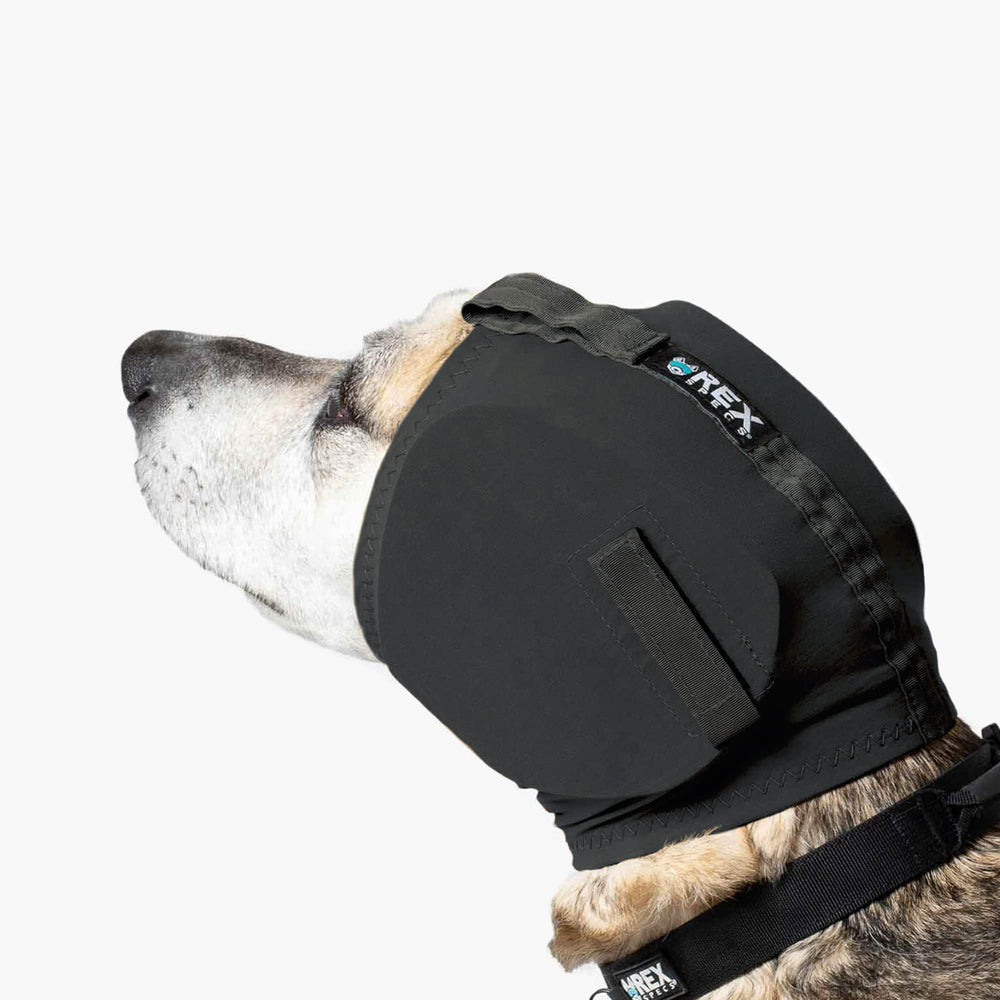 Rex Specs Ear Pro distribuye la presión de forma uniforme.