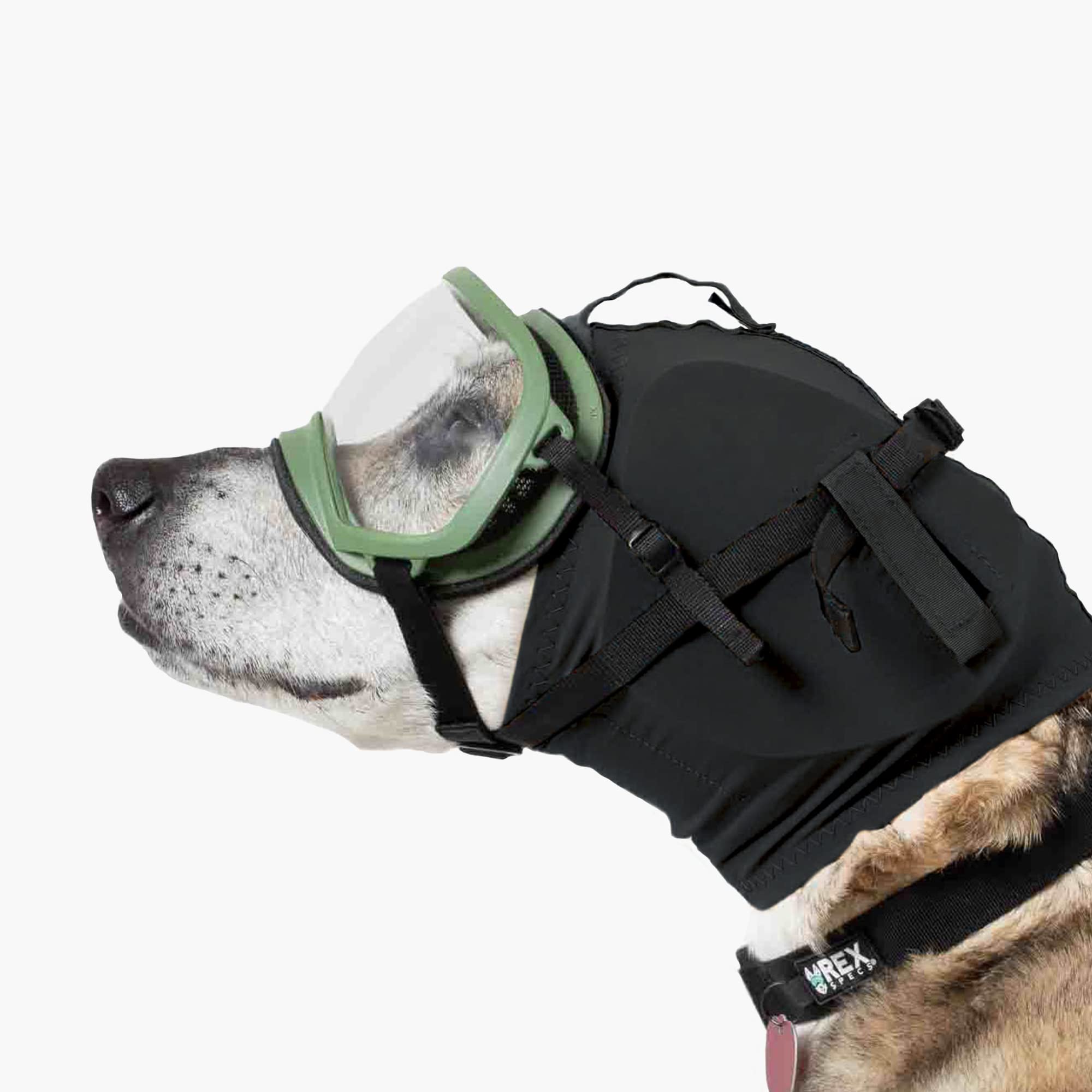 Rex Specs Ear Pro para aseo, reduce estrés durante el cuidado.
