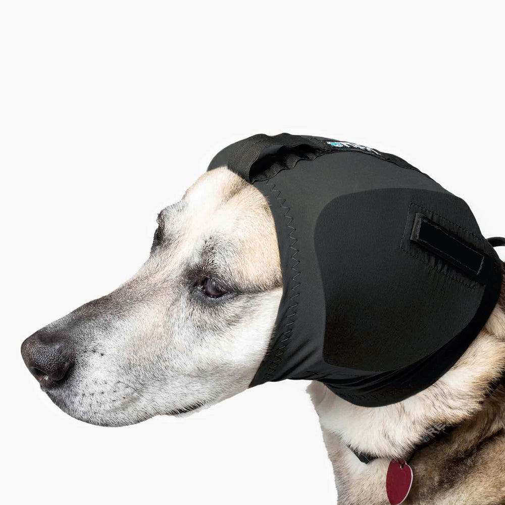 Rex Specs Ear Pro protege la audición durante ruidos fuertes.