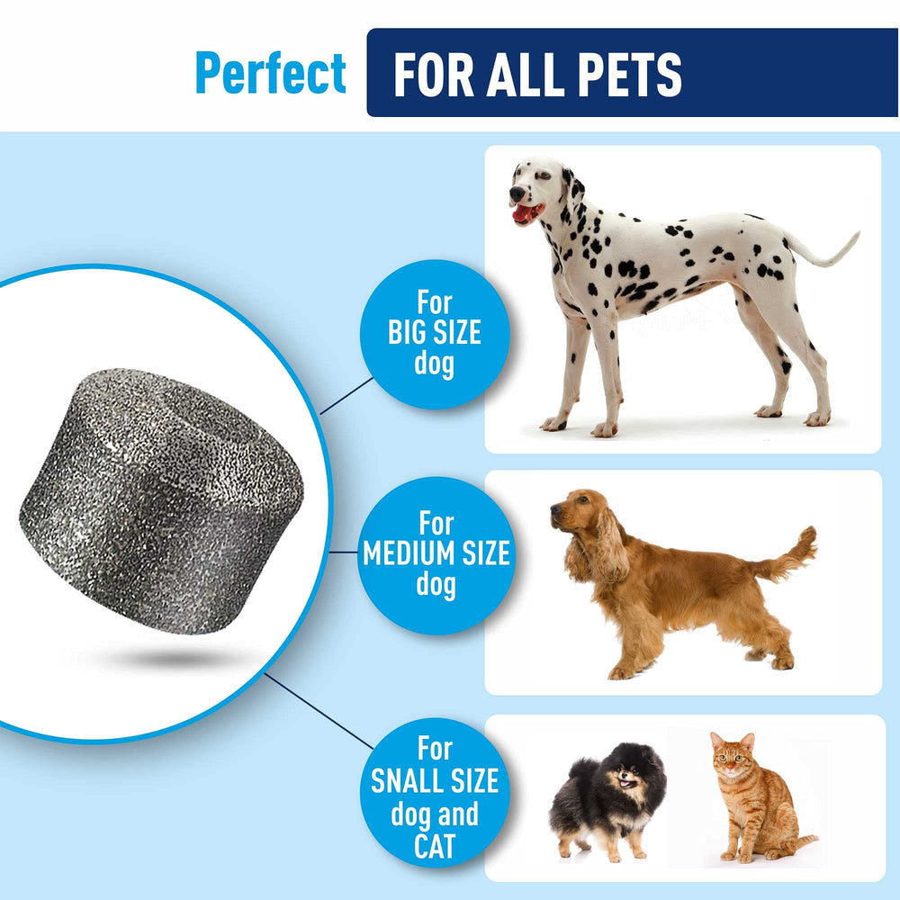 REXIPETS cambio de cabezal fácil, reemplazo rápido.