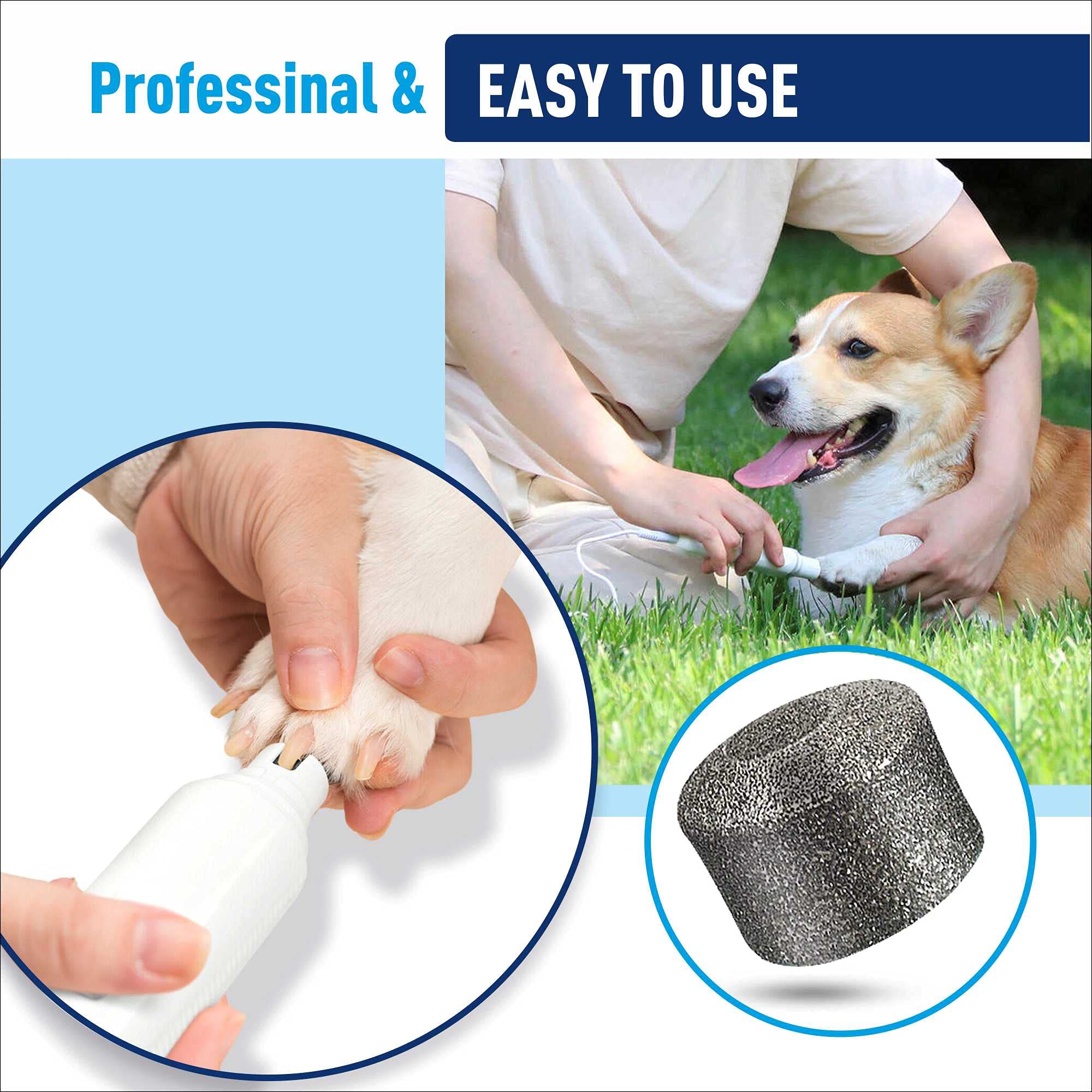 REXIPETS uso seguro para uñas de perros, minimiza riesgos.