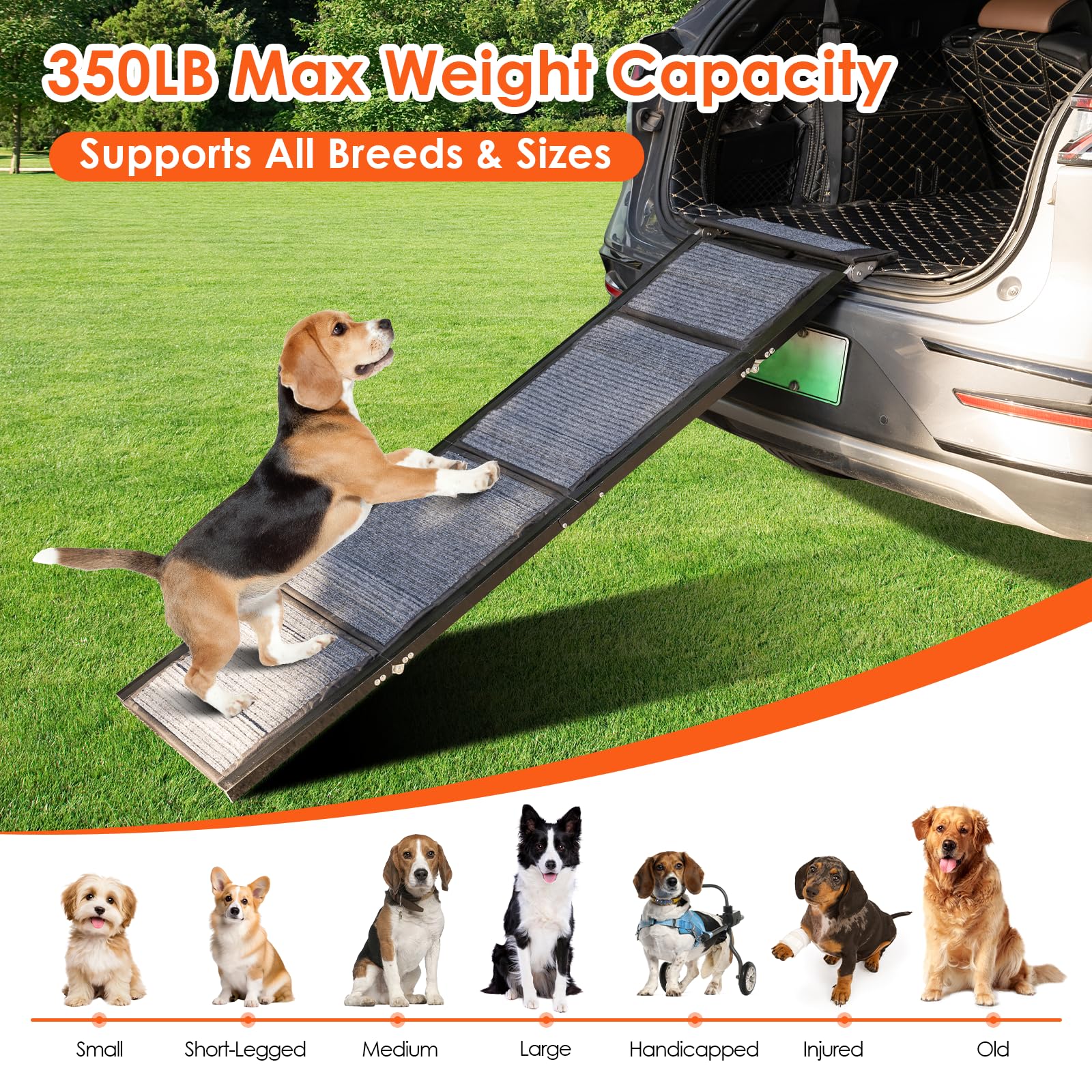 RexTact rampa plegable ligera de 22 libras para transportar