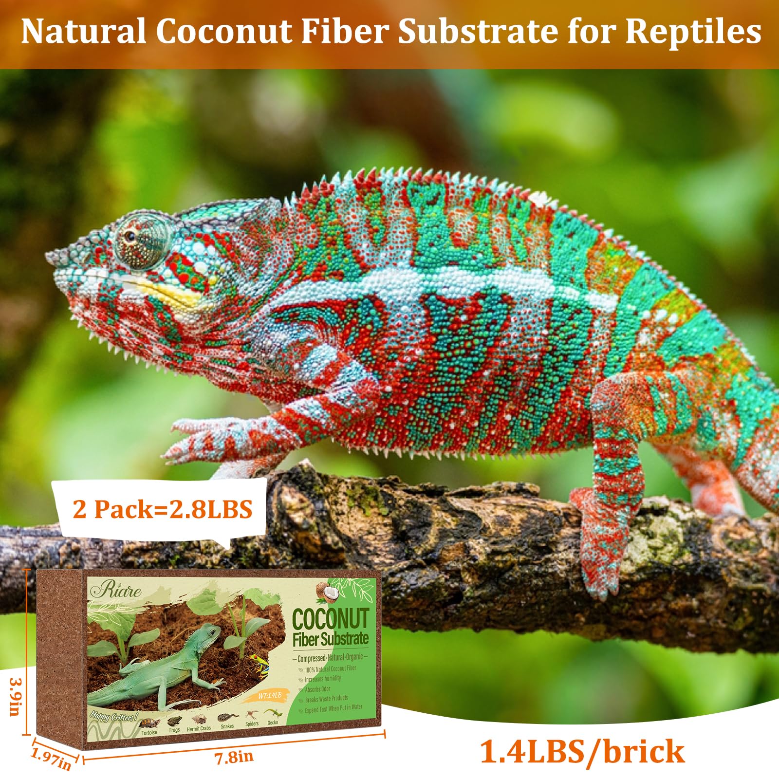 Riare coco sustrato terrario: rehidratado y expandido para un lecho cómodo.