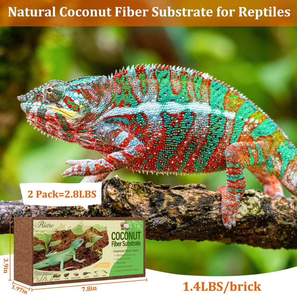 Riare coco sustrato terrario: rehidratado y expandido para un lecho cómodo.