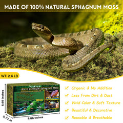 Riare musgo esfagno natural verde para terrarios, sustrato orgánico y seguro.