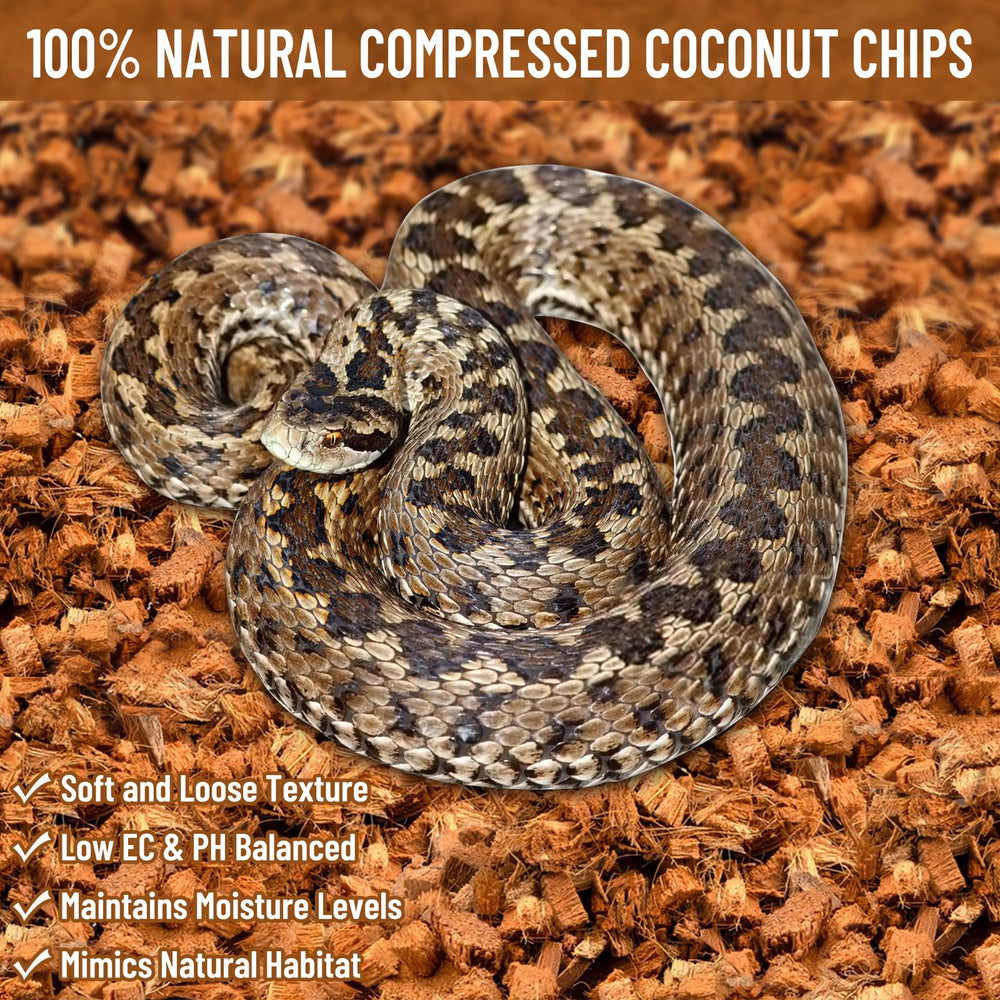 Riare Coco Chip: cobertura amplia para terrarios con expansión.