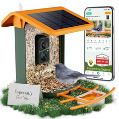 RichBird alimentador de aves con cámara, vista frontal para ver visitantes en directo.