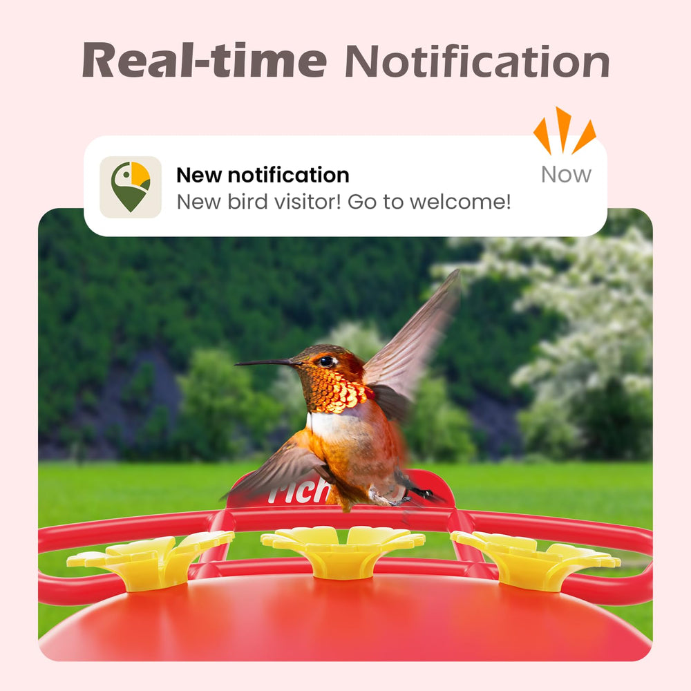 RichBird alimentador con antimoat para evitar insectos y mantener la comida limpia.