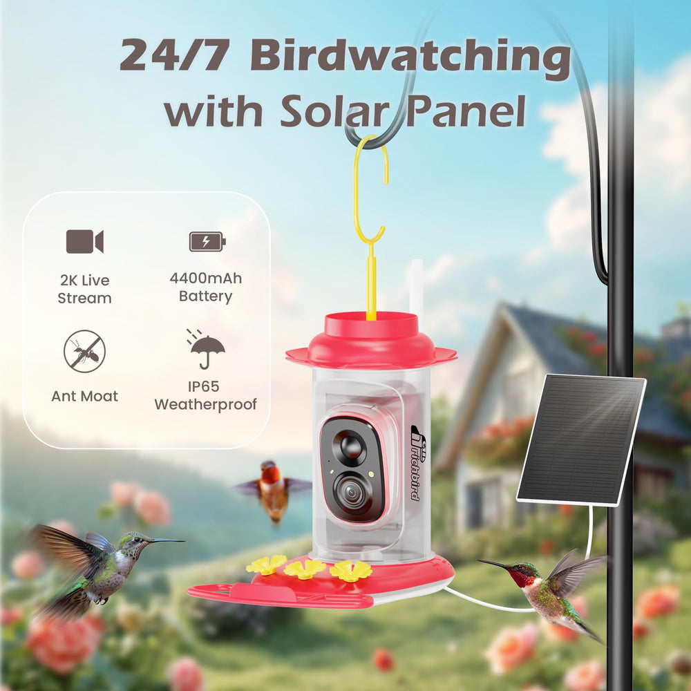 RichBird alimentador con cámara HD 3MP y detección de movimiento para grabar visitas.
