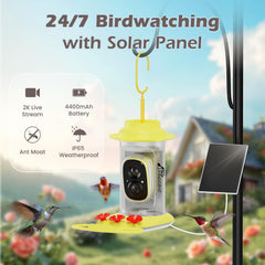 RichBird alimentador solar para monitoreo continuo de colibríes.