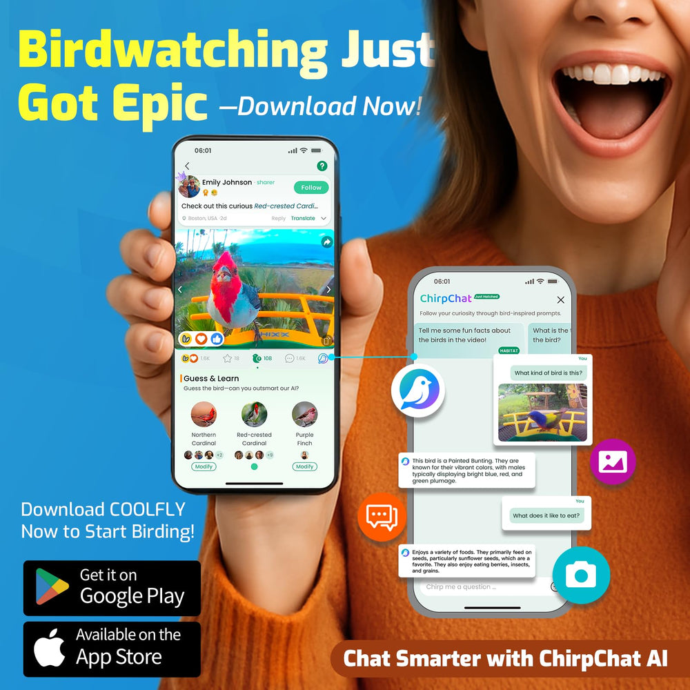 RichBird detección de movimiento ultrarrápida, captura aves al instante.