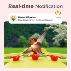 RichBird app COOLFLY con IA para identificar aves.