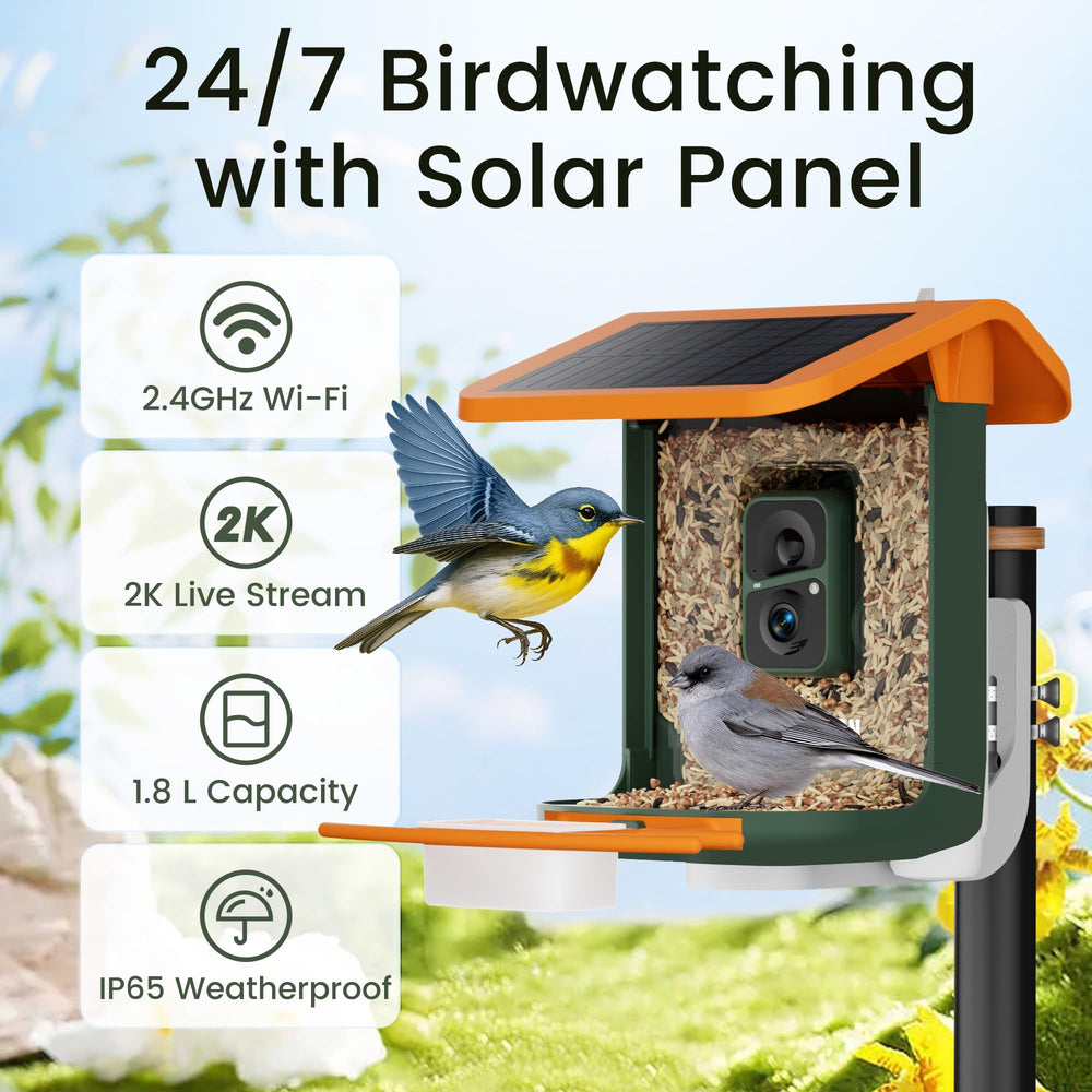 RichBird panel solar integrado, energía limpia para uso continuo.
