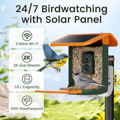 RichBird panel solar integrado, energía limpia para uso continuo.
