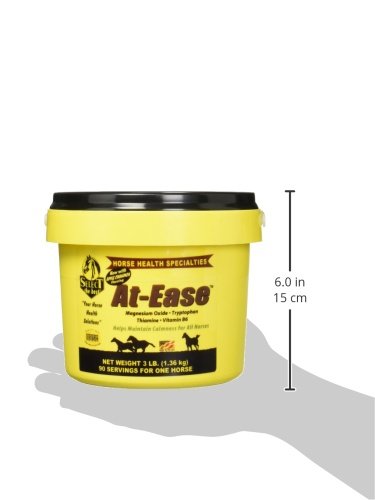 RICHDEL At-Ease sabor manzana canela facilita la ingesta diaria en caballos.