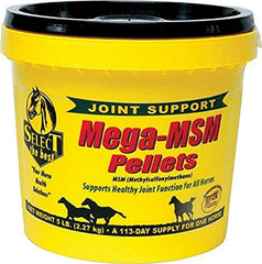 RICHDEL MegaMSM Pellets para caballos en bolsa, fáciles de incorporar a la dieta.