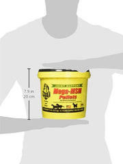 RICHDEL MegaMSM Pellets para caballos, mezcla con el alimento para uso diario.