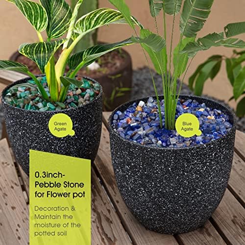 RIFNY grava decorativa verde para macetas, embellece plantas con brillo